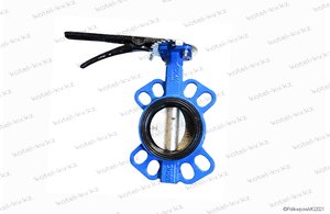 Затвор Ду 100